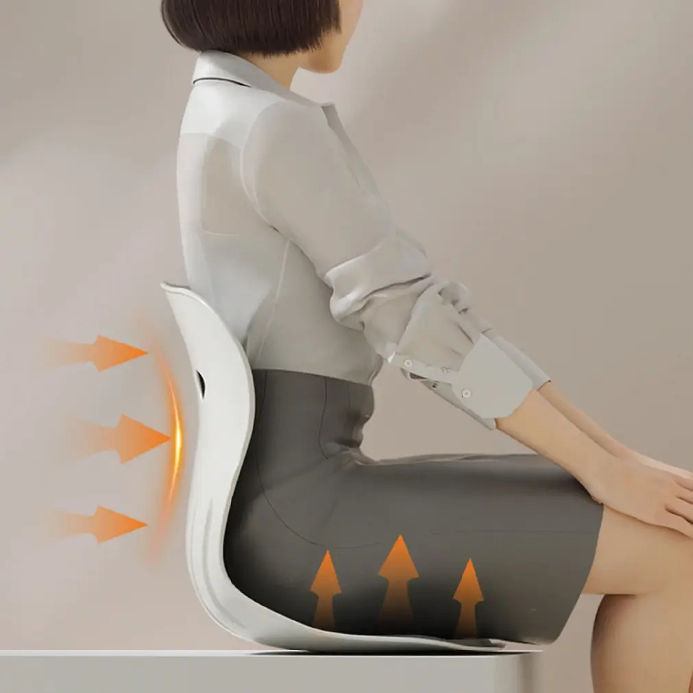 ErgoRelief Lumbar Support Cushion thumbnail 1