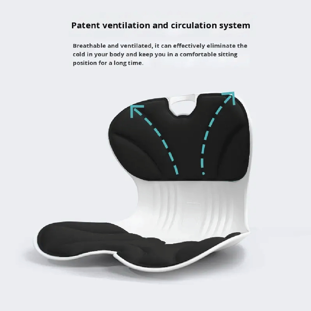ErgoComfort Lumbar Support Cushion – Premium Memory Foam Back Support (Black) thumbnail 2